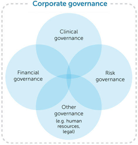 Corporate governance diagram